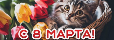 С Праздником, Умные,  Красивые, Дорогие, Любимые!